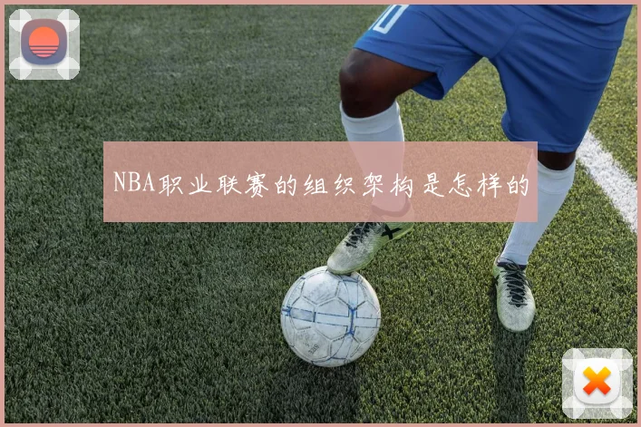 NBA职业联赛的组织架构是怎样的