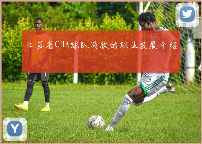 江苏省CBA球队冯欣的职业发展介绍