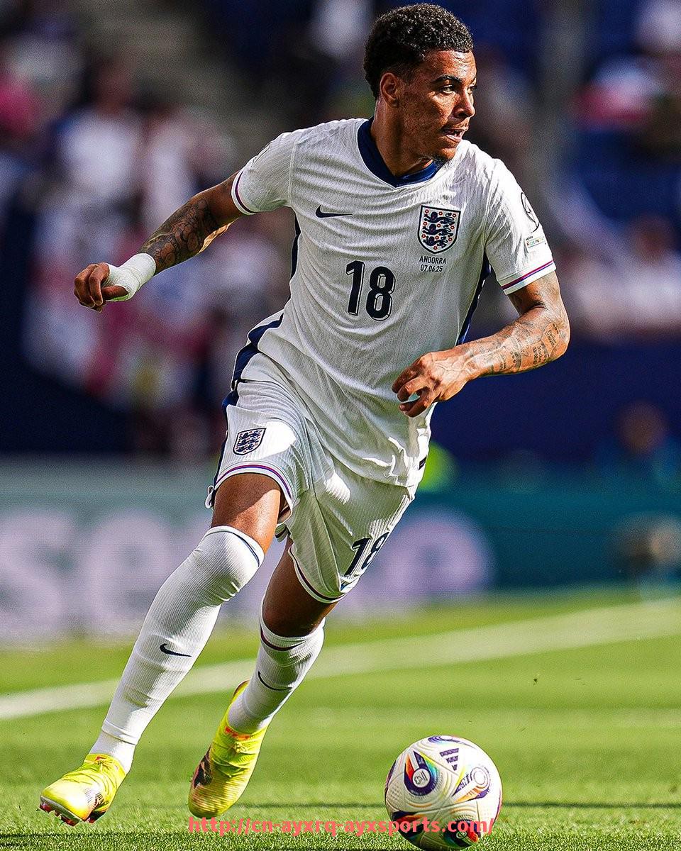 爱游戏体育-德甲球队图文配文案例分享:如何写出吸睛文案